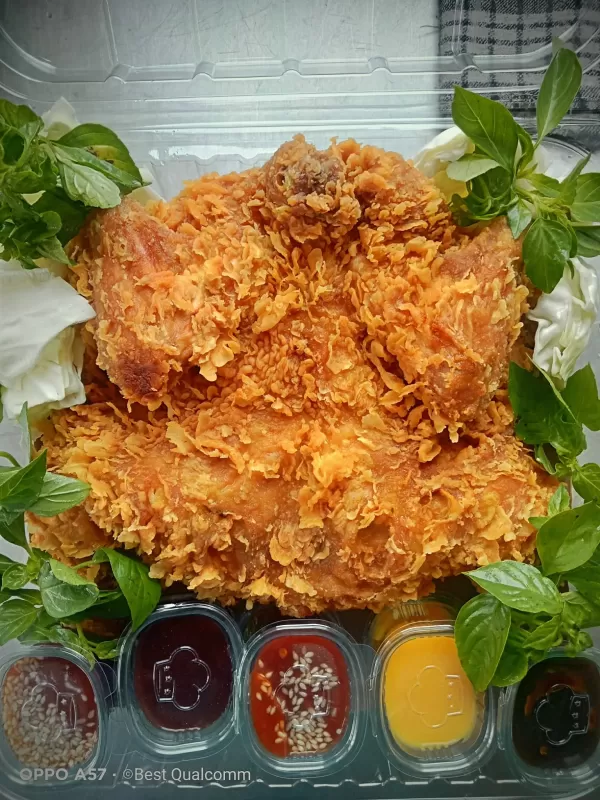 Ayam chicken 1 ekor